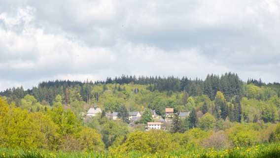 Eglise Saint-Pierre de Beaumont-du-Lac - 2
