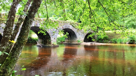 Vieux pont de Claveyrolas - 1