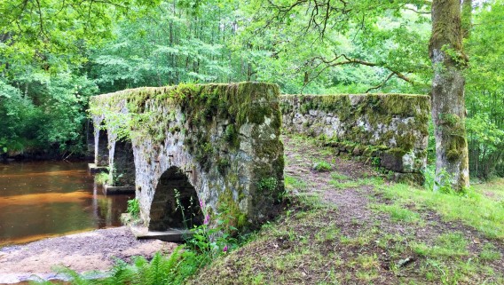 Vieux pont de Claveyrolas - 2