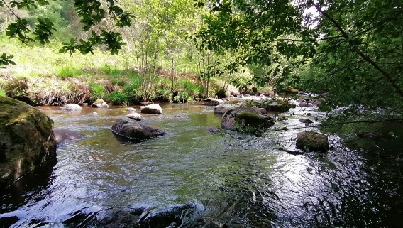 Rigole du Diable et sentier - 2