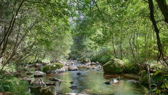 Rigole du Diable et sentier - 3