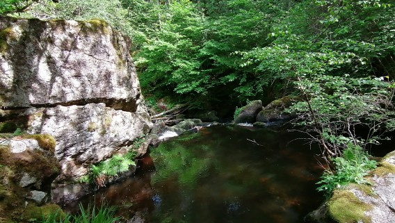 Rigole du Diable et sentier - 4