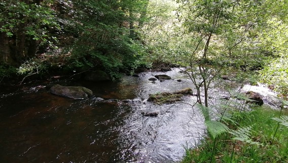 Rigole du Diable et sentier - 5