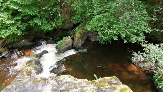 Rigole du Diable et sentier - 6