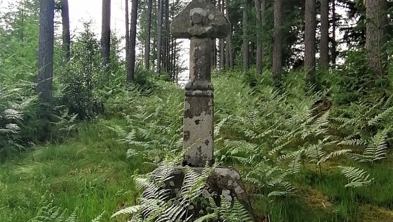 Croix de chemin dite de Fayaud - 1