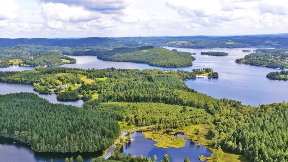 Tourbière de la route élevée - 2