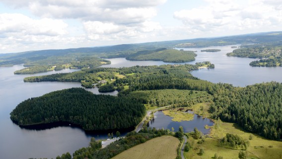 Tourbière de la route élevée - 3