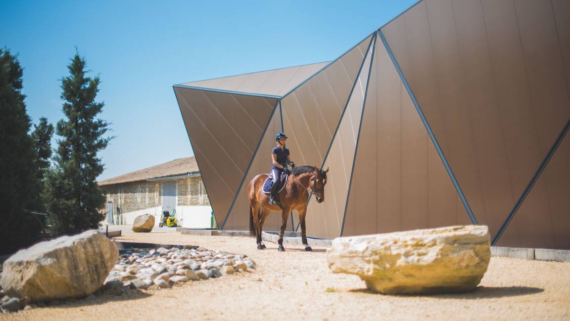 Horseback riding - 1