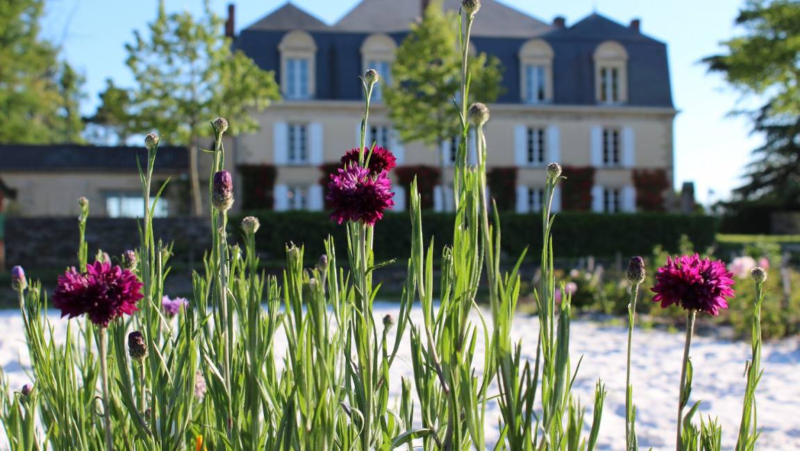 "Guiraud & Caviar" - 1