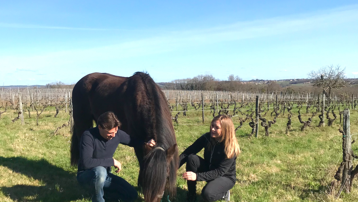 Parcours Spirit of Terroir - 1