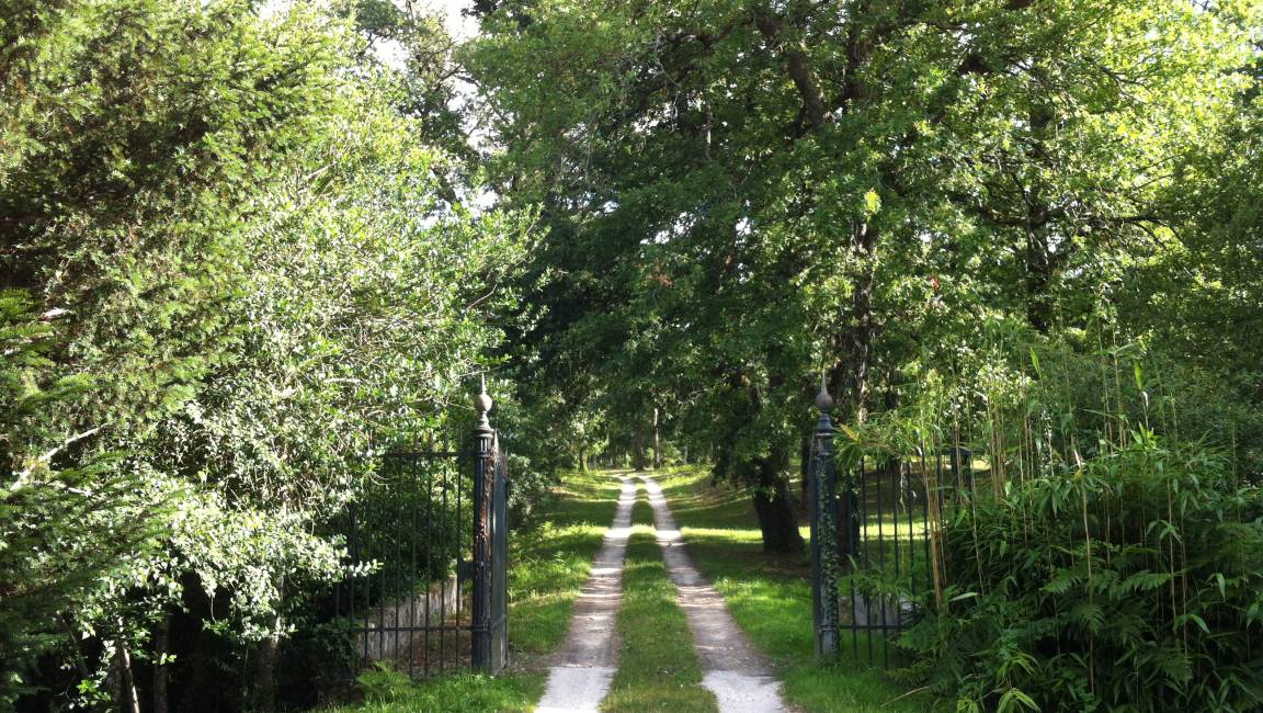 Meet Emma - Walking trail - 1