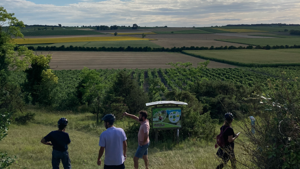 Balade à vélo en Petite Champagne - 1