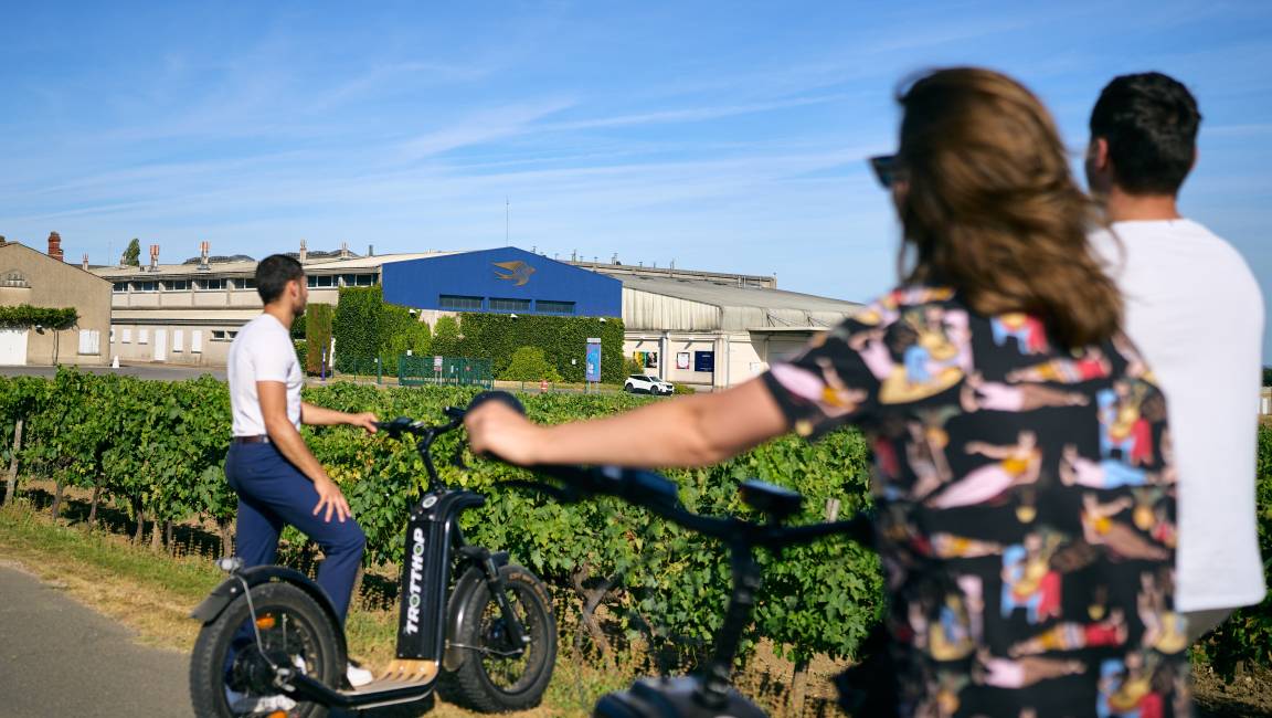 Vitiscoot by Martell - 1