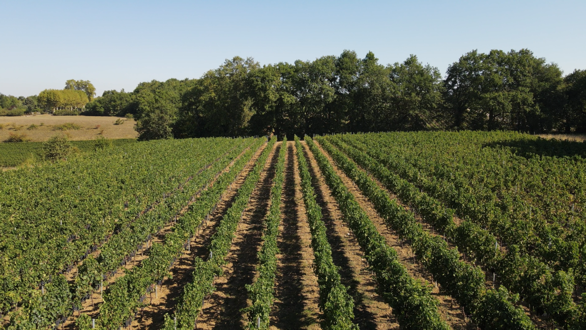 Walking tour of Grand Jour - 1