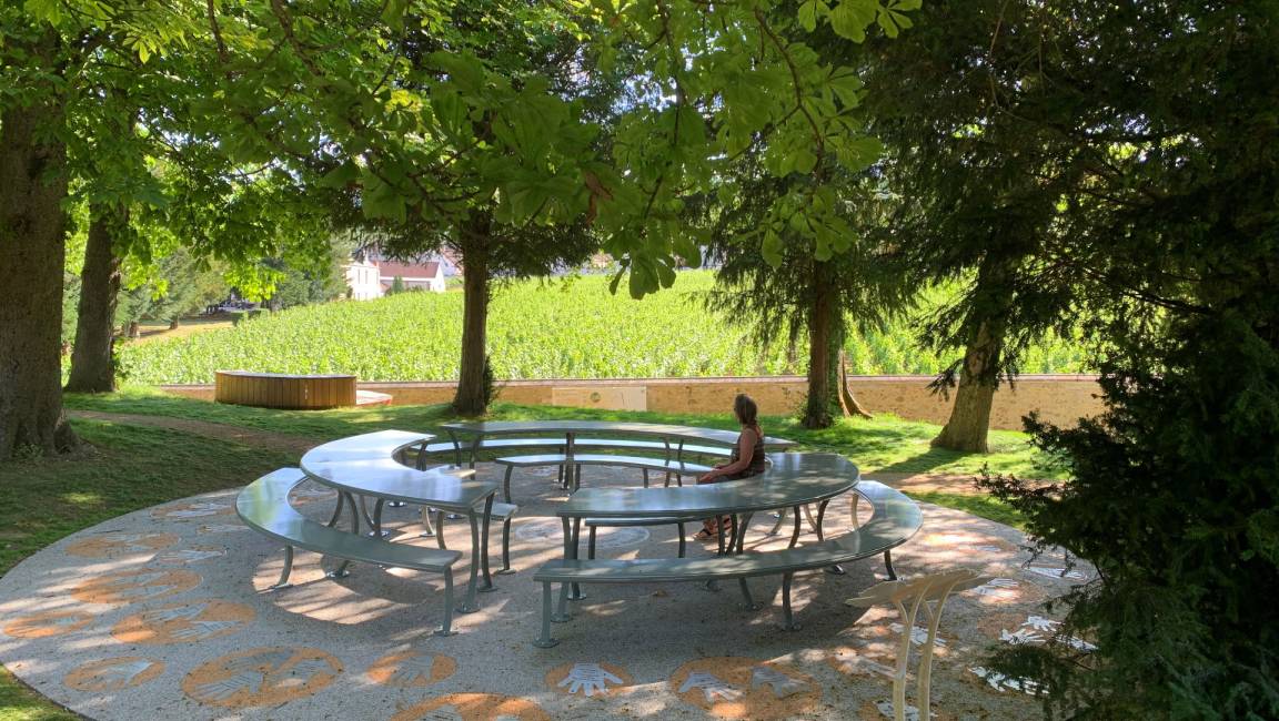 Electric bike ride 16km - 1