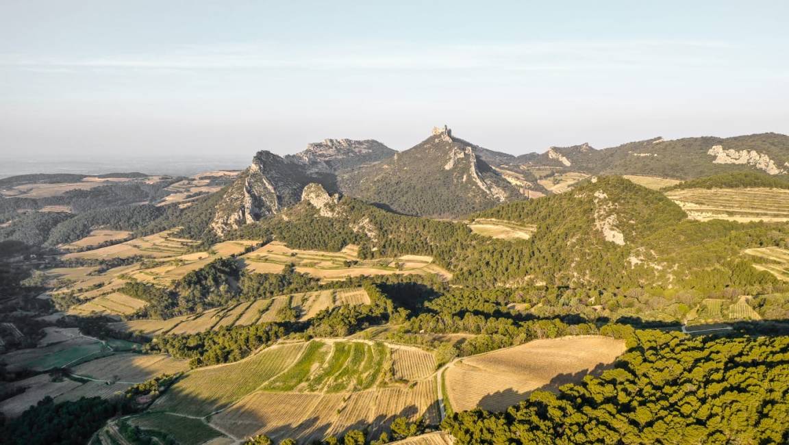 A walk through history and terroir in the Dentelles de Montmirail - 1