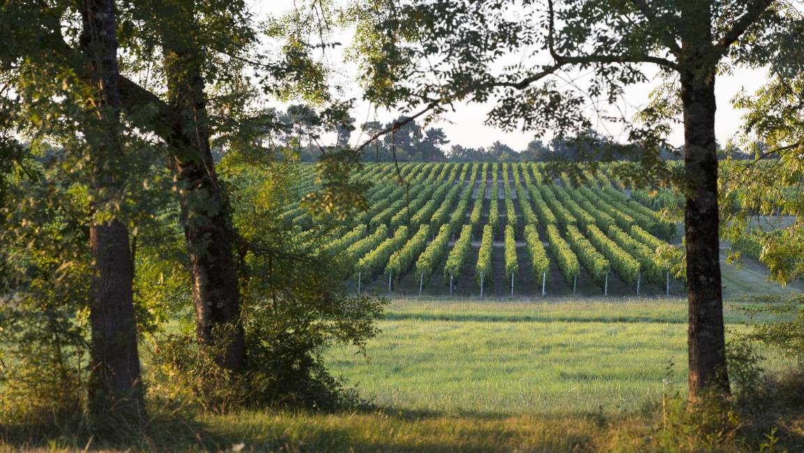 Sur les traces du Prince Noir - Boucle courte - 1