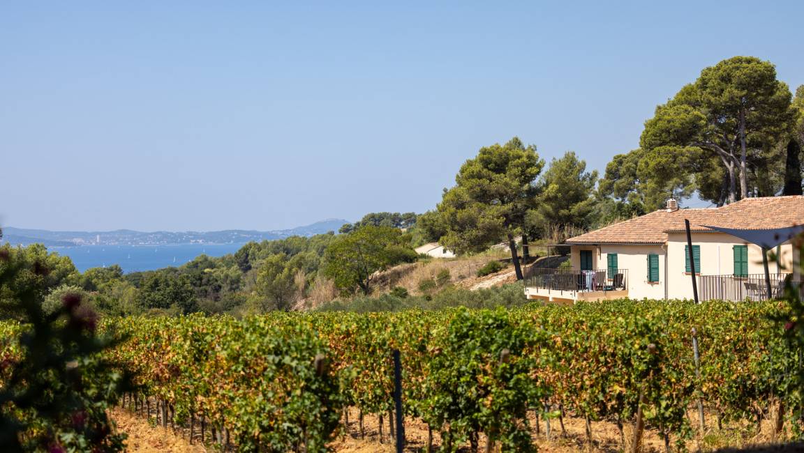 Winegrower Adventure - 1