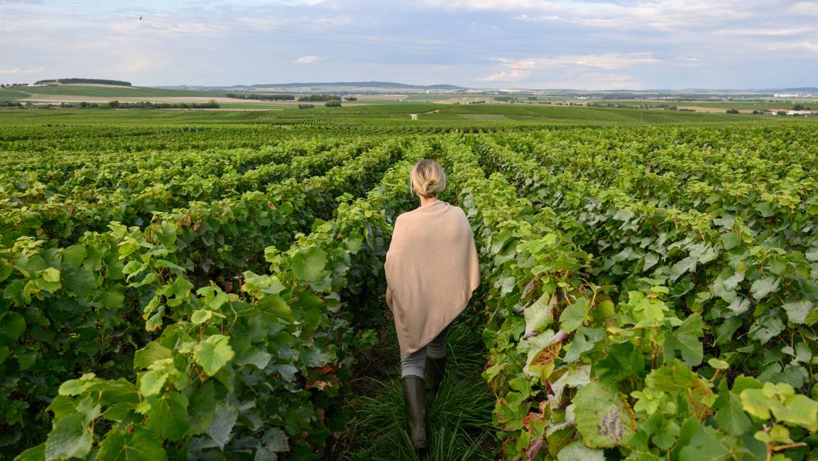 Pedestrian itinerary - 1