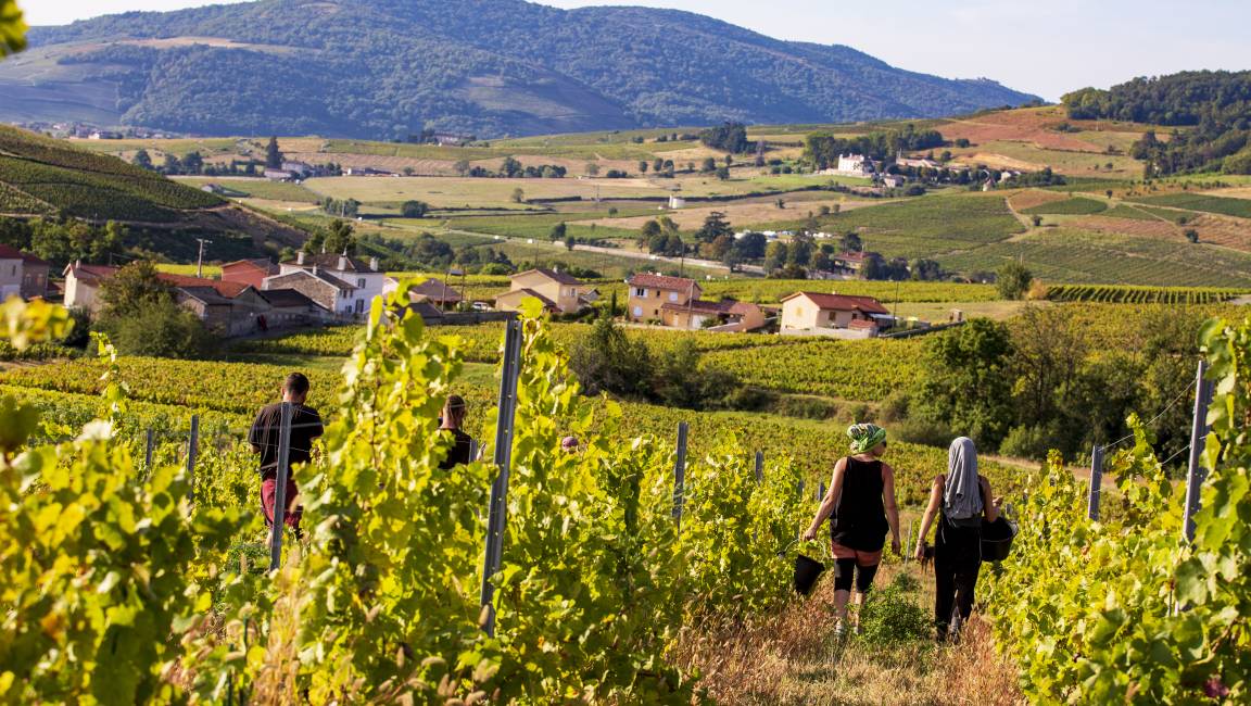 Agroecology in Lantignié - 1