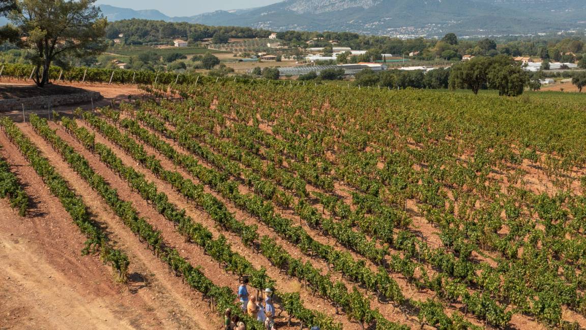 Aventure Vigneronne - séminaires - 1