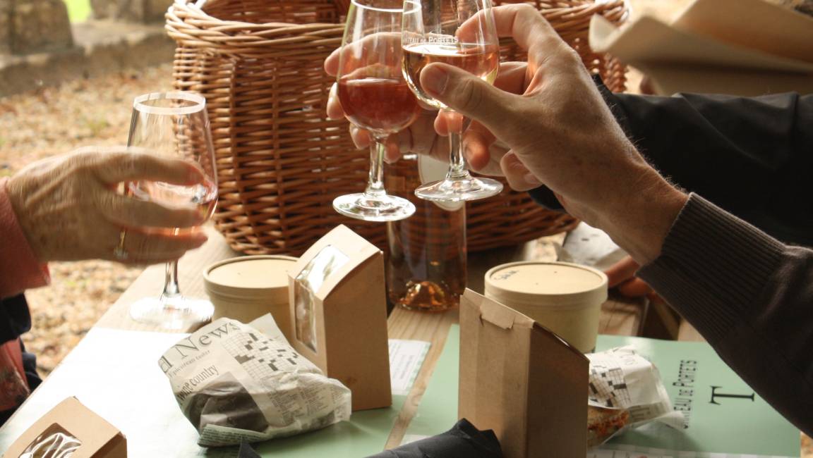 Visite et pique-nique panoramique - 1