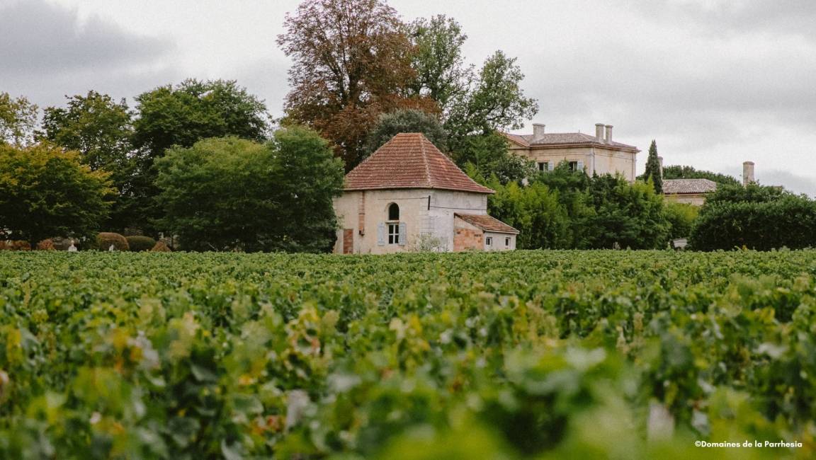 Between the vineyards and the Garonne, a journey to the heart of Graves - 35 km - 1