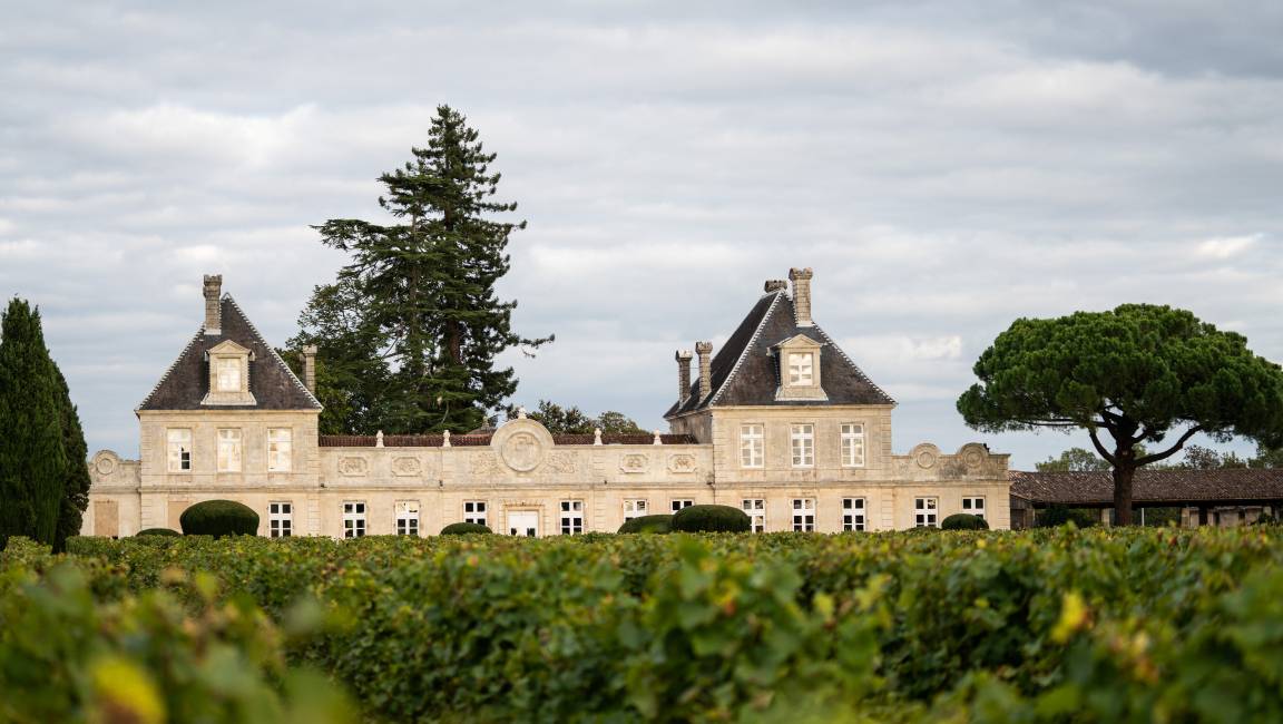 Au fil de la Garonne : balade bucolique entre Cérons et Podensac - 9km - 1