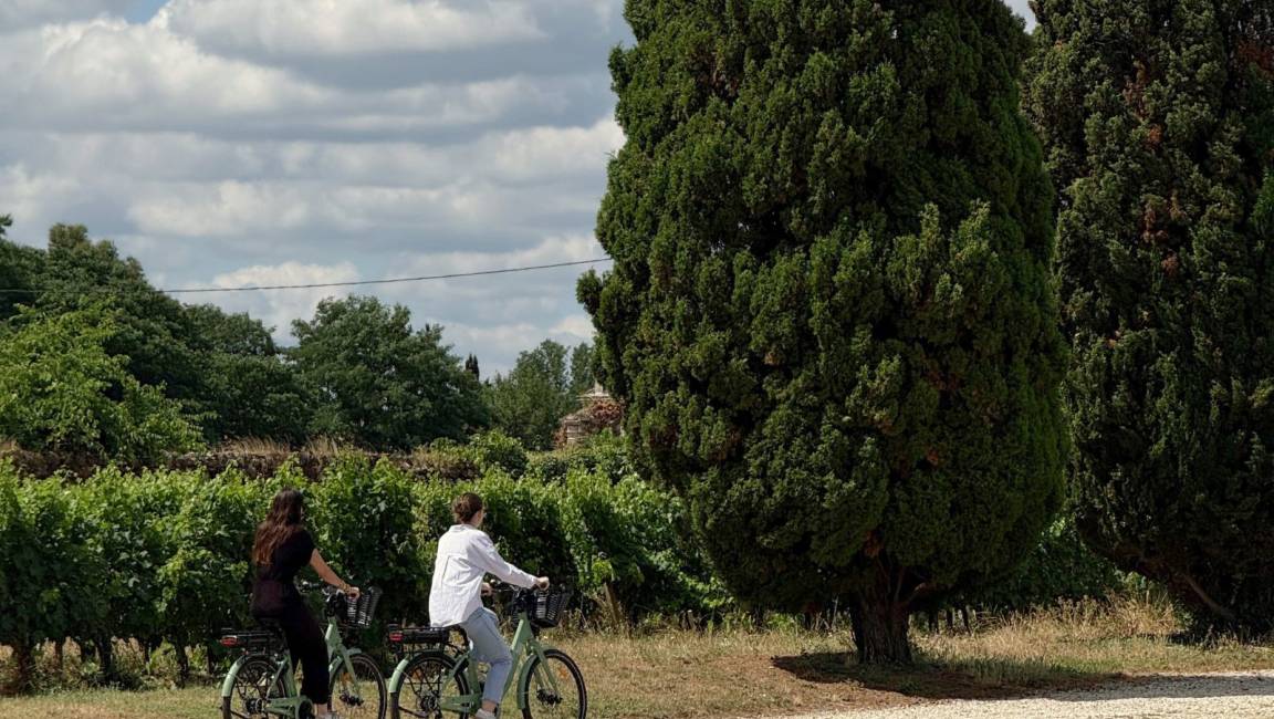 D’une rive à l’autre, au fil du fleuve : de Cérons à Cadillac - 15 km - 1