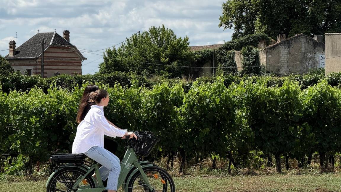 La boucle des vins d’or entre Barsac et Sauternes - 40 km - 1