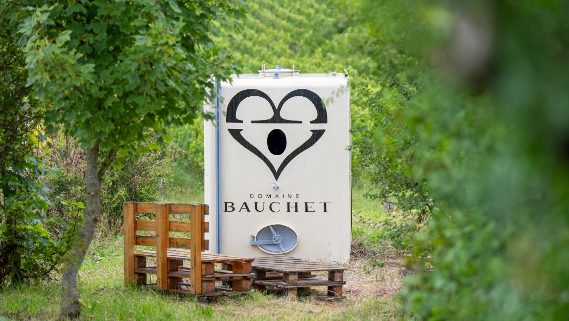 La balade en bulles - 1