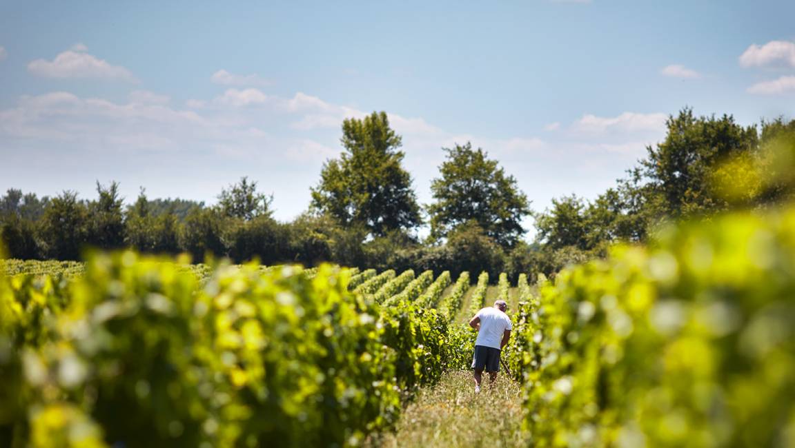 Parcours pédestre - 1