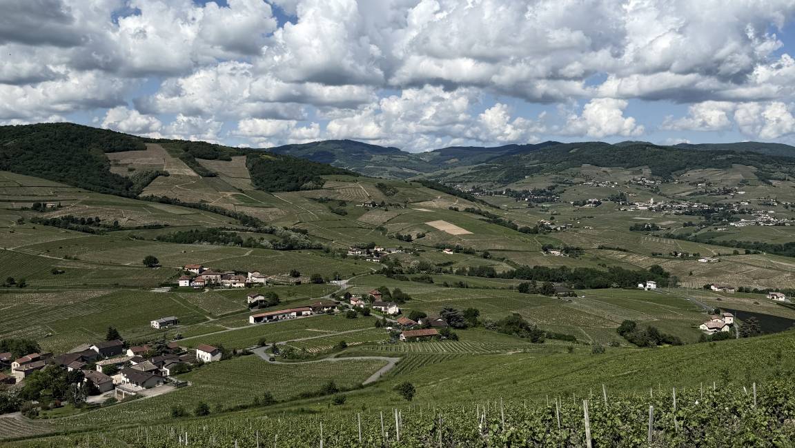 Petite visite bucolique à Brouilly - 1