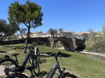 First steps in the Châteauneuf vineyard !