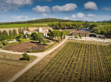 Discovering the vineyards and terroirs of Châteauneuf-du-Pape