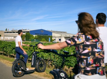 Vitiscoot by Martell