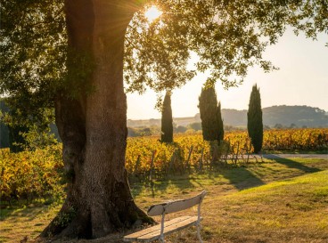 Évadez-vous le temps d'un weekend