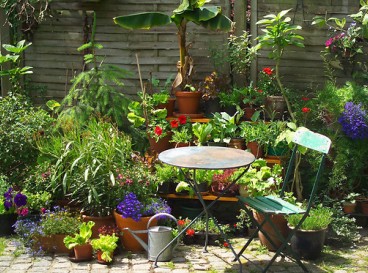 Electric bike ride 16km