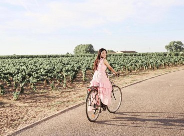 Discovering the vineyards of Pomerol
