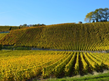 Cycling route - Small loop 15km