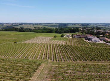 Entre Château Vieille Tour et Château Réaut