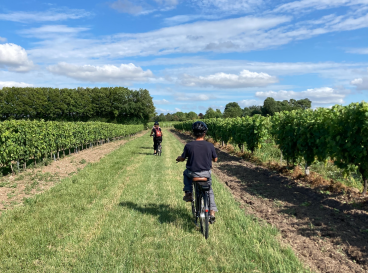 Bike ride in Petite Champagne