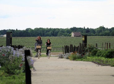 Your private experience