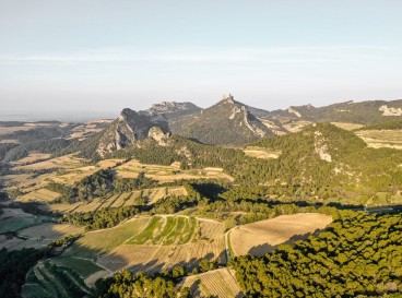 A walk through history and terroir in the Dentelles de Montmirail