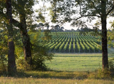 In the footsteps of the Black Prince