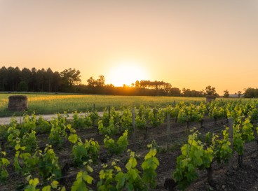 Sur les traces du Prince Noir - Boucle courte