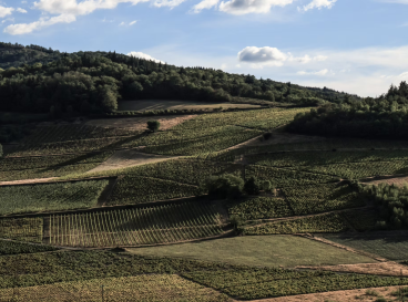 Le sentier pédestre