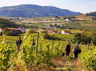 Agroecology in Lantignié