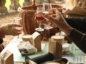 Tour and panoramic picnic