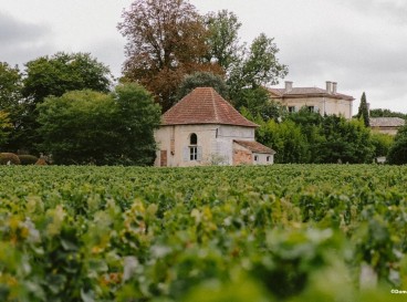Entre vignes et Garonne, voyage au cœur des Graves - 35 km